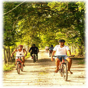 TOUR BICITOUR PALOMINO